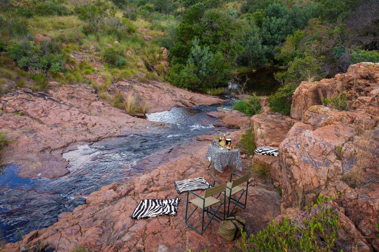 Zebras Crossing *